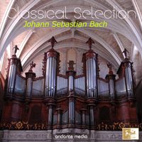 Otto Winter - Classical Selection - Bach: Organ Works