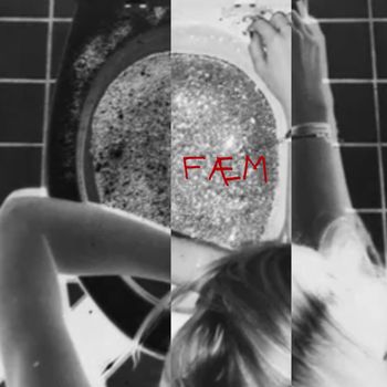 Æ.Æ - FÆM