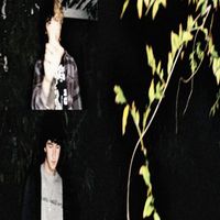 wren - Haunting (Explicit)