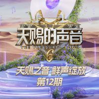 天赐的声音 - 天赐的声音第六季 第12期