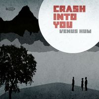 Venus Hum - Crash into You