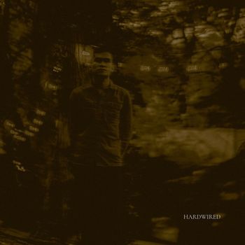 Fabrizio - Hardwired