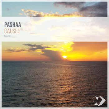 Pashaa - Causee