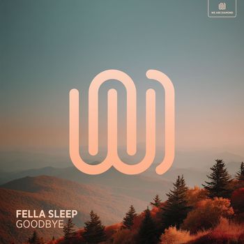 Fella Sleep - Goodbye