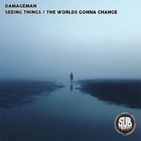 Damageman - Seeing things / The worlds gonna change