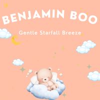 Benjamin Boo - Gentle Starfall Breeze