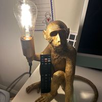 webster - The Tv Remote