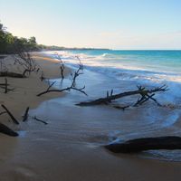 The Touch of Sound - Bluff Beach - Bocas Del Toro, Panama