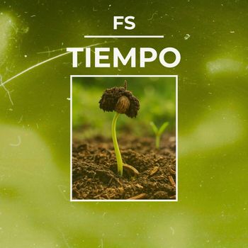 Fs - Tiempo