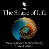 Michael Whalen - The Shape of Life