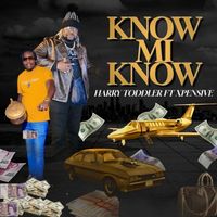 HARRY TODDLER - KNOW MI KNOW