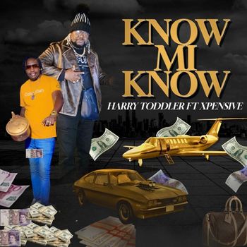 HARRY TODDLER - KNOW MI KNOW
