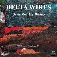 Delta Wires - Devil Got My Woman