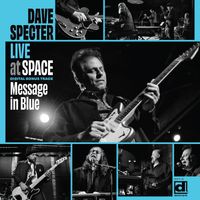 Dave Specter - Message In Blue (Live)