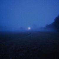 sadtones - wilted (remixes)