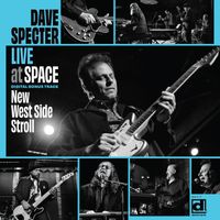 Dave Specter - New West Side Stroll (Live)