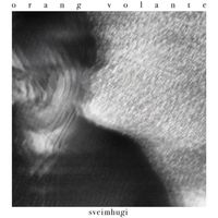 Orang Volante - Sveimhugi