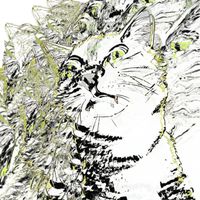 ABBY - Single Ready To......?