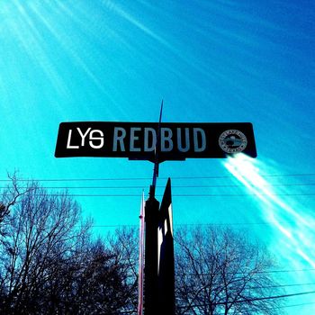 Lys - Redbud