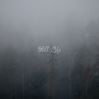 Still Life - Faded Memory