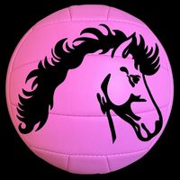 Kentucky - Pink Volleyball
