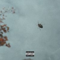 fyne - Zip! (Explicit)