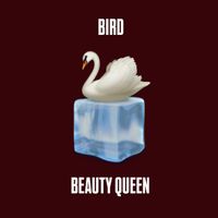 Bird - Beauty Queen