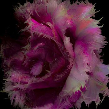 Various Artists - COURTOISYD01