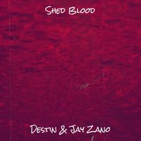 Destin (feat. Jay Zano) - Shed Blood (Explicit)
