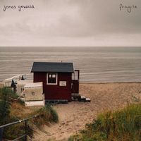 Jonas Gewald - fragile
