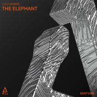 Luca Morris - The Elephant