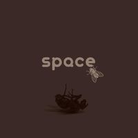 SPACE - FLY THE ALBUM