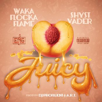 Waka Flocka Flame - Juicy (Explicit)