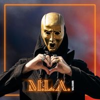 VENDEX - M.L.A.