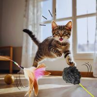 Kuma - Toy Hunter Kitty