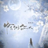 李斌彬 - 恰似故人