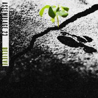 Assemblage 23 - Believe