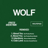 Frits Wentink - Remixed