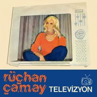 Rüçhan Çamay - Televizyon