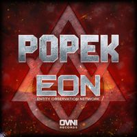 Popek - Entity Obvservation Network