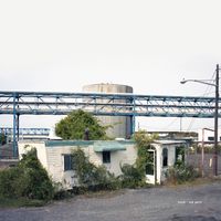 Snad - AM Yard