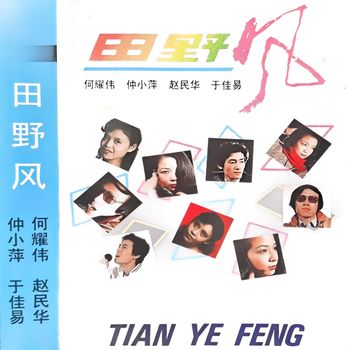 群星 - 田野风
