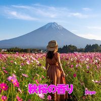 yoyo - 秋桜の香り