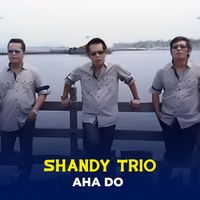 SHANDY TRIO - AHA DO