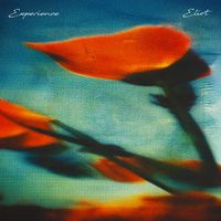 Eliot - Experience Extended