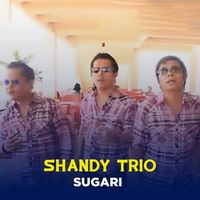 SHANDY TRIO - SUGARI