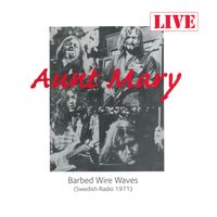Aunt Mary - Barbed Wire Waves (Swedish Radio 1971)