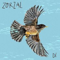 DÉ - ZORZAL
