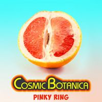 Cosmic Botanica - PINKY RING MIX (Explicit)