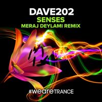 Dave202 - Senses (Meraj Deylami Remix)
